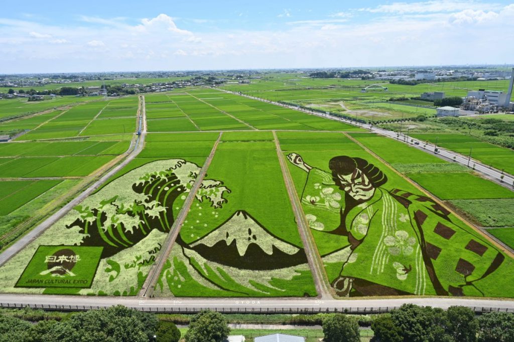 世界最大の田んぼアート | 埼玉県行田市観光ガイド - 行田市観光NAVI